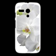 Coque Motorola G orchidée
