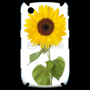Coque Blackberry 8520 tournesol
