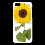Coque iPhone 5C tournesol