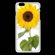 Coque iPhone 6Plus / 6Splus tournesol