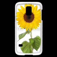 Coque Samsung Galaxy S5 Mini tournesol