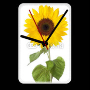 Grande pendule murale tournesol