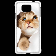 Coque Samsung Galaxy Alpha Chaton caché