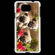Coque Samsung Galaxy Alpha Trio de chiots Carlin
