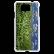 Coque Samsung Galaxy Alpha Champs de cannabis