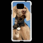 Coque Samsung Galaxy Alpha Chien de chasse Braque