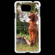 Coque Samsung Galaxy Alpha chien de chasse 300