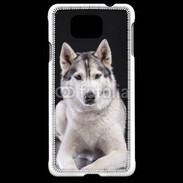 Coque Samsung Galaxy Alpha Chien Husky de Sibérie
