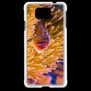 Coque Samsung Galaxy Alpha Poisson tropical 15