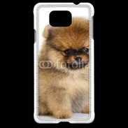 Coque Samsung Galaxy Alpha Chiot Pomeranian 15