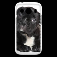 Coque Samsung Galaxy Ace4 Bulldog français 2