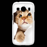 Coque Samsung Galaxy Ace4 Chaton caché