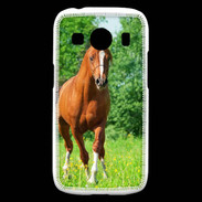 Coque Samsung Galaxy Ace4 Cheval arabe robe marron et blanche