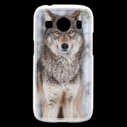 Coque Samsung Galaxy Ace4 Loup gris 150 