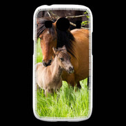 Coque Samsung Galaxy Ace4 Cheval et poulain