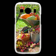 Coque Samsung Galaxy Ace4 fruits et légumes d'automne