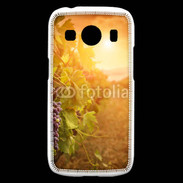 Coque Samsung Galaxy Ace4 Automne, vignes, couché de soleil