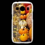 Coque Samsung Galaxy Ace4 Citrouilles