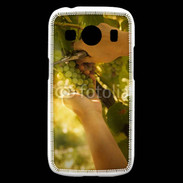 Coque Samsung Galaxy Ace4 Vignoble