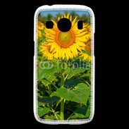 Coque Samsung Galaxy Ace4 Champs de Tournesol