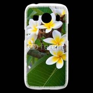 Coque Samsung Galaxy Ace4 Fleurs Frangipane 2