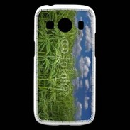 Coque Samsung Galaxy Ace4 Champs de cannabis