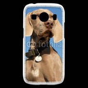 Coque Samsung Galaxy Ace4 Chien de chasse Braque