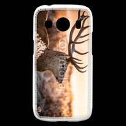 Coque Samsung Galaxy Ace4 Cerf au couché de soleil 620