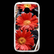 Coque Samsung Galaxy Ace4 Fleurs Zen rouge 10
