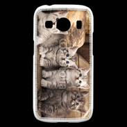 Coque Samsung Galaxy Ace4 Chaton gris 2