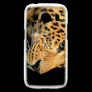 Coque Samsung Galaxy Ace4 Tête de léopard 2