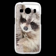 Coque Samsung Galaxy Ace4 Raton laveur dans un arbre