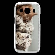 Coque Samsung Galaxy Ace4 Sieste de chatons