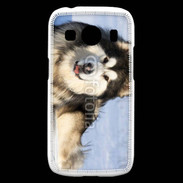 Coque Samsung Galaxy Ace4 Chien d'Alaska