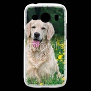 Coque Samsung Galaxy Ace4 Portrait de Chien Golden 5