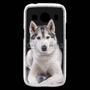 Coque Samsung Galaxy Ace4 Chien Husky de Sibérie