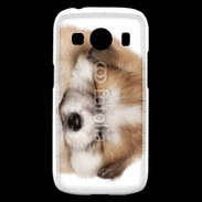 Coque Samsung Galaxy Ace4 Chiot chien loup 5