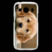 Coque Samsung Galaxy Ace4 Chiot labrador golden 2