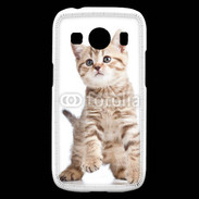 Coque Samsung Galaxy Ace4 Adorable chaton 7