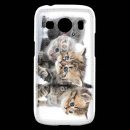 Coque Samsung Galaxy Ace4 Groupe de chatons 7