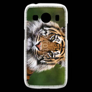 Coque Samsung Galaxy Ace4 Portrait de tigre 10