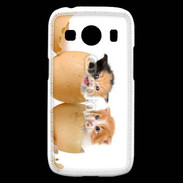 Coque Samsung Galaxy Ace4 Chaton dans des coquilles d'oeuf