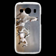 Coque Samsung Galaxy Ace4 Groupe de chevaux blancs