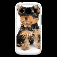 Coque Samsung Galaxy Ace4 Yorkshire terrier 15
