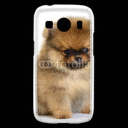 Coque Samsung Galaxy Ace4 Chiot Pomeranian 15