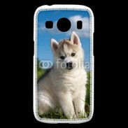 Coque Samsung Galaxy Ace4 Chiot Husky Sibérien 510