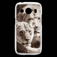Coque Samsung Galaxy Ace4 Couple de lion et lionne 500