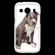 Coque Samsung Galaxy Ace4 American staffordshire bull terrier