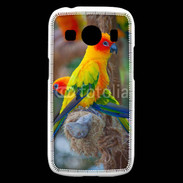 Coque Samsung Galaxy Ace4 Aratinga Solstitialis