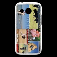 Coque Samsung Galaxy Ace4 Beauté de la camargue